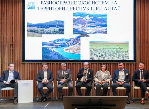 Республика Алтай может стать пилотным регионом