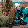 Cтратегия в области устойчивого развития